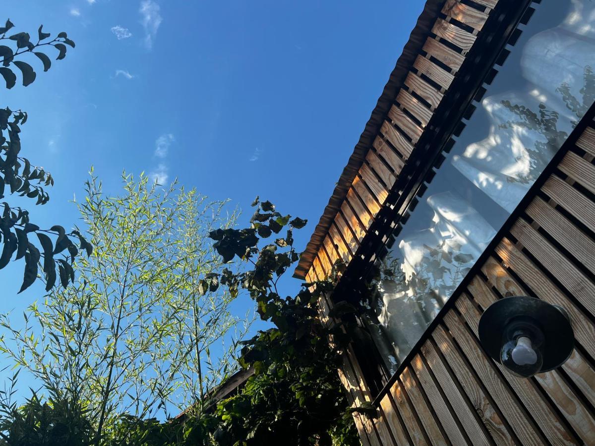 La Cabane Du 375, Piscine Clim,Jacuzzi Et Insolite Saint-Jean-de-Moirans Kültér fotó